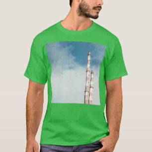 Camiseta Pigeon House