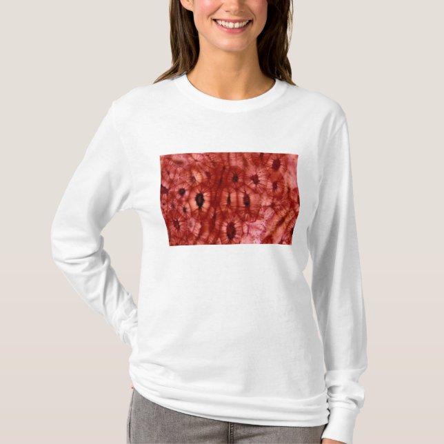 Camiseta Pilhas de Sclerenchyma de um poço da cereja (Frente)