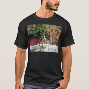 Camiseta Pimba-Pimba