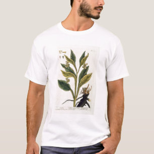 Camiseta Pimentões vermelhos (gravura da cor)
