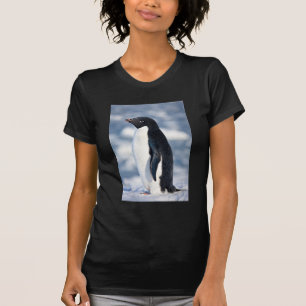 Camiseta Pinguim Bonito Bela Natureza Colorida Animais