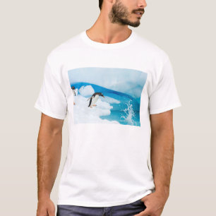 Camiseta pinguim-de-gentoo, Pygoscelis Papua, saltando