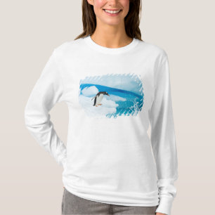Camiseta pinguim-de-gentoo, Pygoscelis Papua, saltando