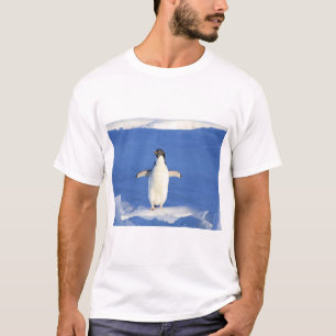 Camiseta Pinguim engraçado na foto do gelo