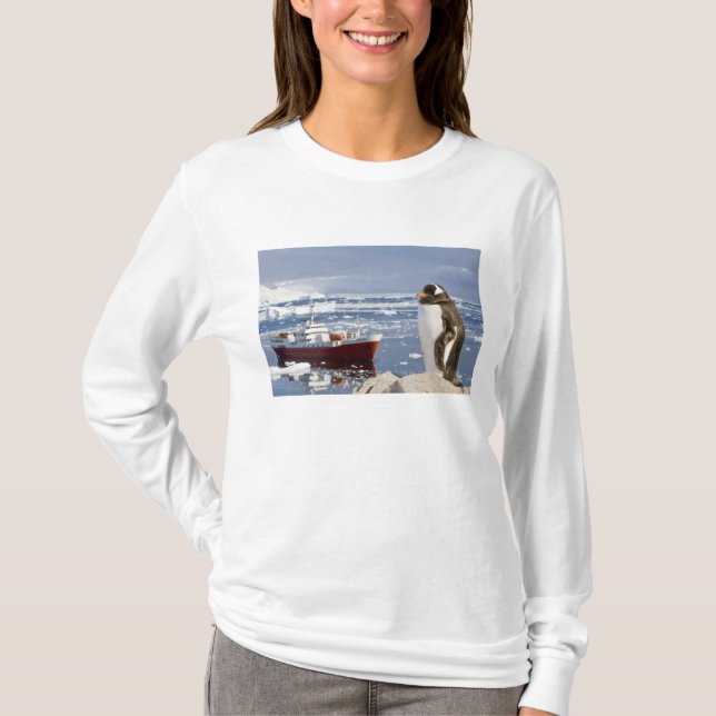 Camiseta Pinguim-gentoo (Frente)