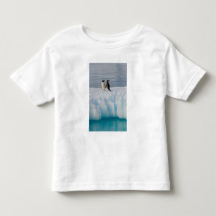 Camiseta pingüim-gentoo, Pygoscelis Papua, no gelo glacial