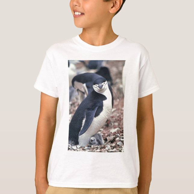 Camiseta Pinguim-Pássaro Cinto-Negro Água Branca (Frente)