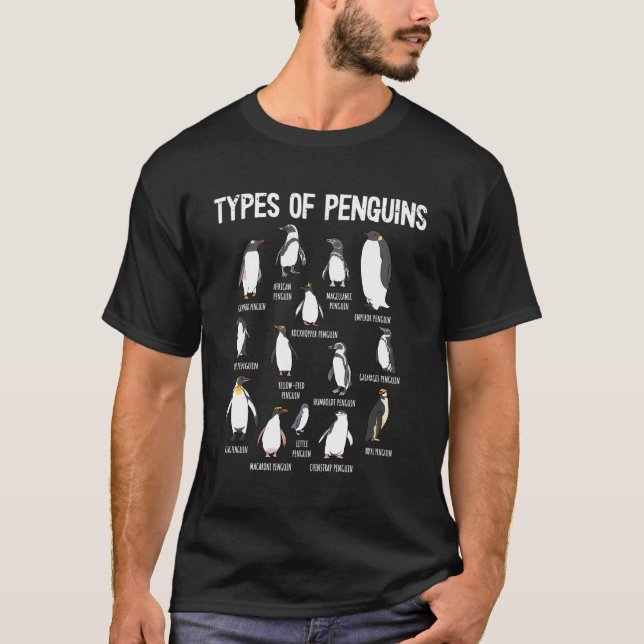 Camiseta Pinguins Pinguins Do Mundo Tipos De Pinguins (Frente)