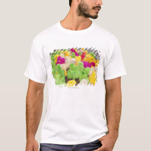 Camiseta Pintinhos do bebê em uma caneta em um mercado