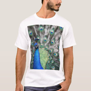 Camiseta Pintura de Peacock espalhando suas penas