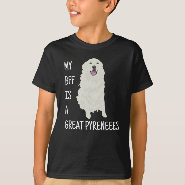 Camiseta Pirenéus excelentes (Frente)