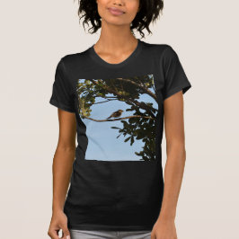 Camiseta Pirilampo
