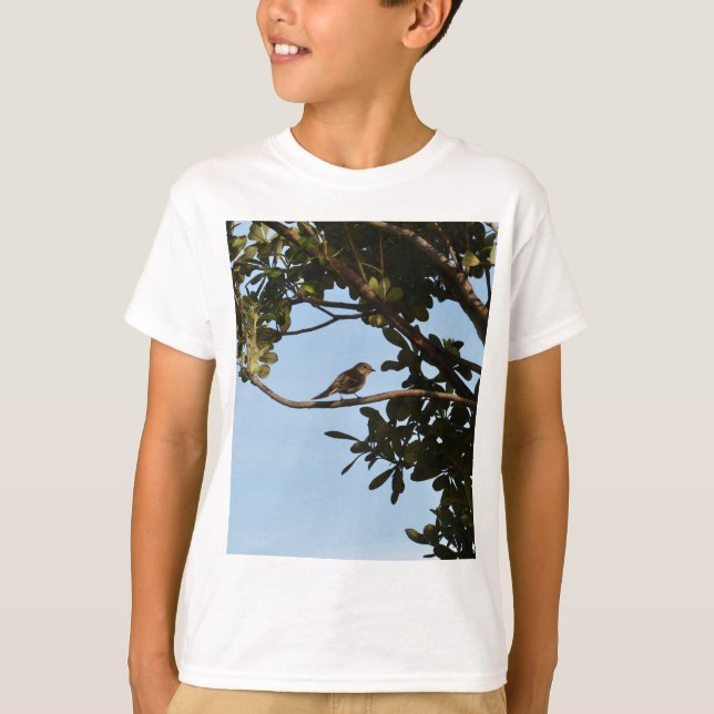 Camiseta Pirilampo-comum (Frente)