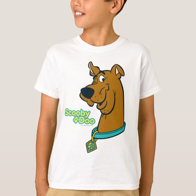 Camiseta Pisc de Scooby-Doo (Frente)