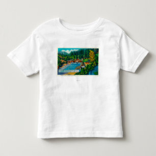 Camiseta Piscina gigantesca no solenóide Duc Hot Springs