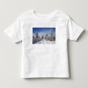 Camiseta Pista Nevada e Pinheiros, Cambrians, perto de St