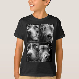 Camiseta Pit Bulls Hipnóticos Olhos Estranhos Weirdcore Ass