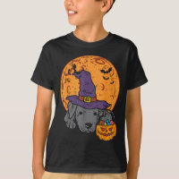Pitbull Chapéu de Bruxa Lua Jack O Lantern Hallowe