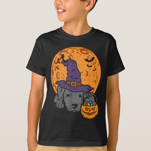 Camiseta Pitbull Chapéu de Bruxa Lua Jack O Lantern Hallowe (Frente)