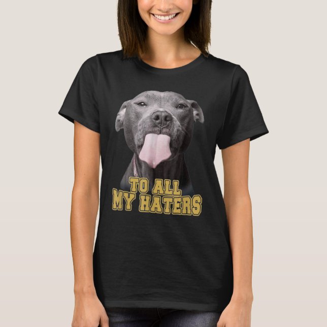 Camiseta Pitbull Para Todos Os Meus Odiadores (Frente)