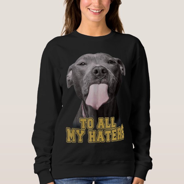 Camiseta Pitbull Para Todos Os Meus Odiadores (Frente)