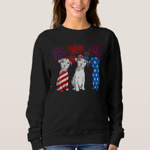 Camiseta Pitbull Terrier Firework Usa Flag Cute Puppy 4th O