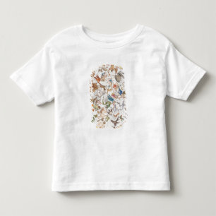 Camiseta Placa 26 de Atlas Coelestis, de John Flamsteed