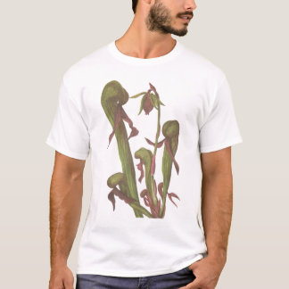 Camiseta Planta carnívora - californica do Darlingtonia