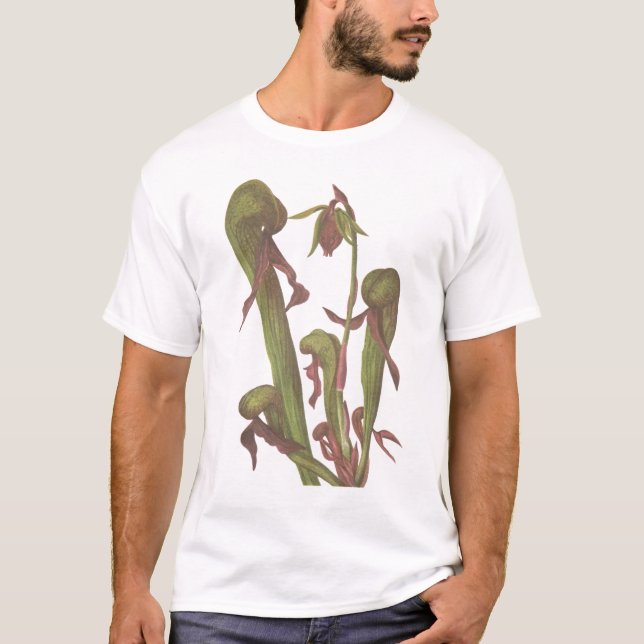 Camiseta Planta carnívora - californica do Darlingtonia (Frente)