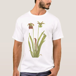 Camiseta Planta carnívora - rubra do Sarracenia