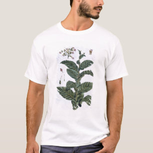 Camiseta Planta de tabaco, placa 7, 'da coleção Precieuse