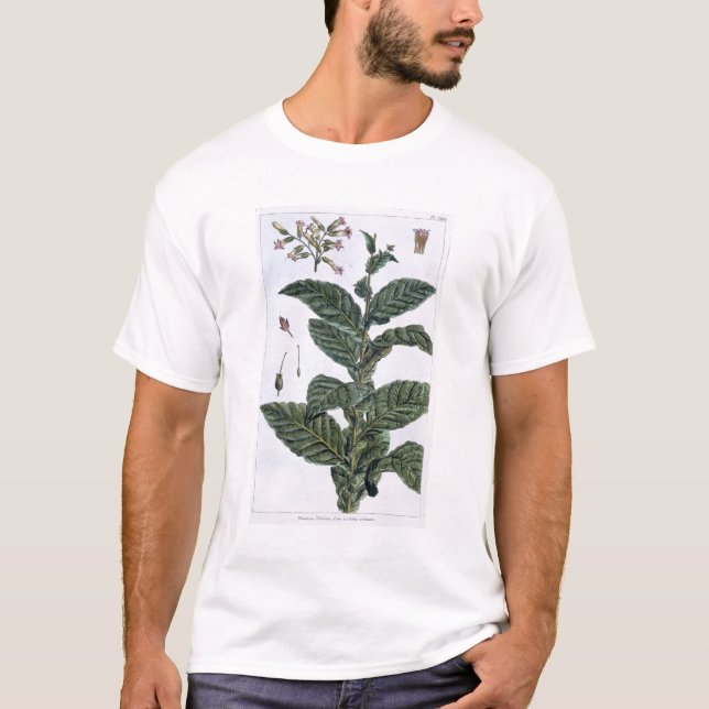 Camiseta Planta de tabaco, placa 7, 'da coleção Precieuse (Frente)
