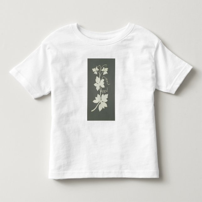 Camiseta Planta do salto (Frente)
