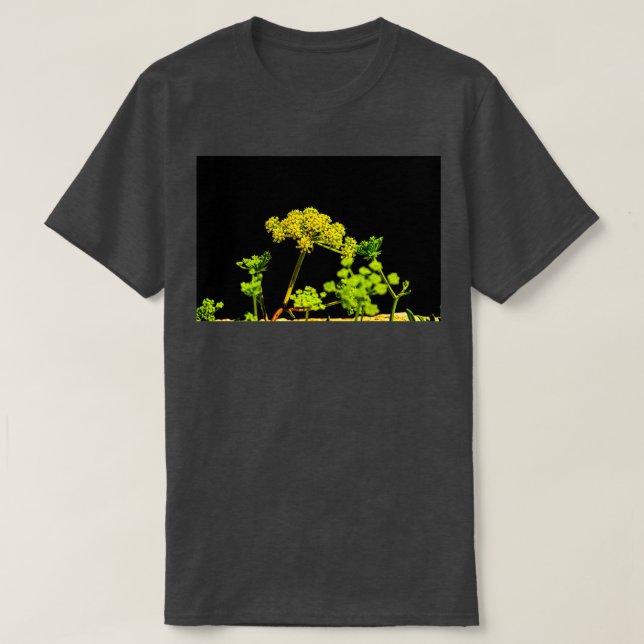 Camiseta Plantas com flores amarelas sobre fundo negro 1 (Frente do Design)
