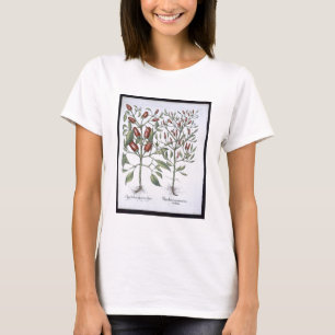 Camiseta Plantas da pimenta, 'do Hortus Eystettensi