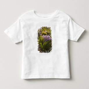 Camiseta Plantas do deserto de Chihuahuan em flor