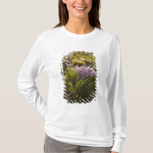 Camiseta Plantas do deserto de Chihuahuan em flor