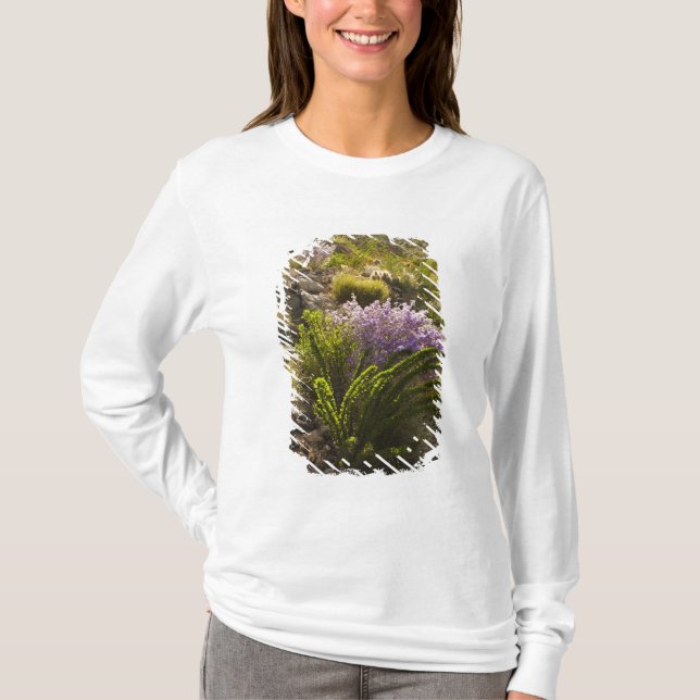 Camiseta Plantas do deserto de Chihuahuan em flor (Frente)