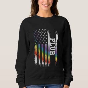 Camiseta PLUR Estados Unidos afligiu o arco-íris com bandei