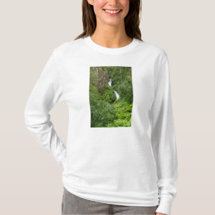 Camiseta Plush Thunderbird