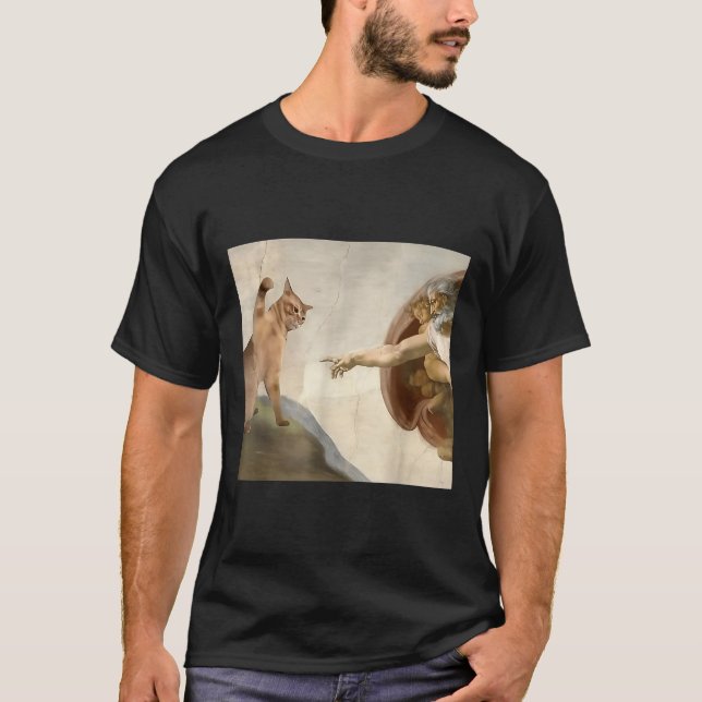 Camiseta Poço Todo Poderoso, Engraçado Gato Criação De Deus (Frente)