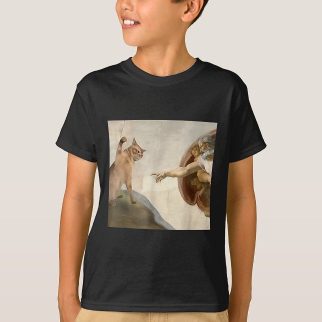 Camiseta Poço Todo Poderoso, Engraçado Gato Criação De Deus (Frente)