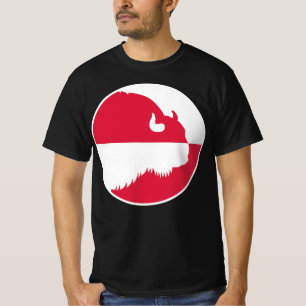 Camiseta Polônia Wisent Zubr Bandeira Nacional Polonesa