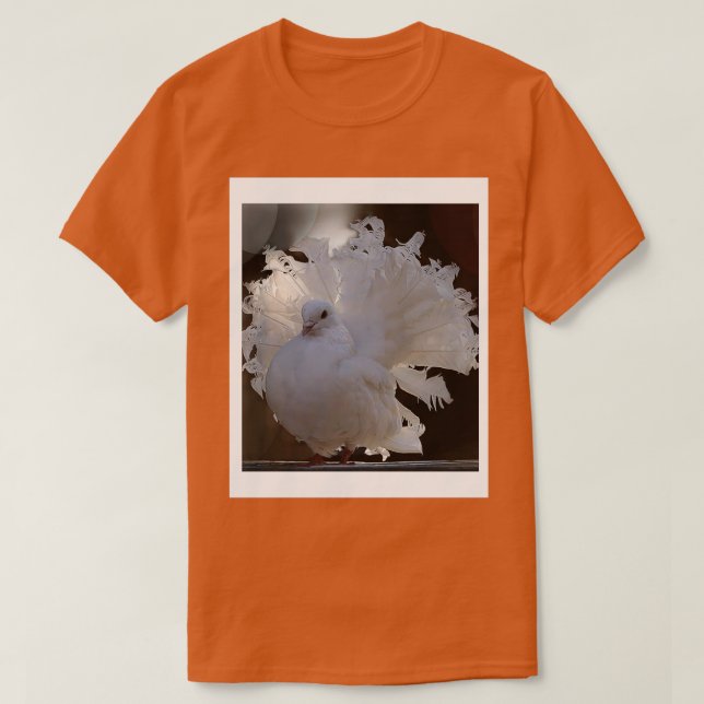 Camiseta Pombo 16 (Frente do Design)