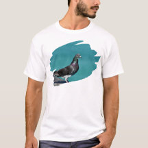 Pombo Com Uma Vista