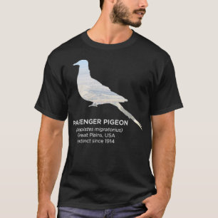 Camiseta Pombo De Passageiro Extinto Espécies Ameaçadas D