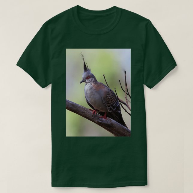 Camiseta Pombo-dorso 15 (Frente do Design)
