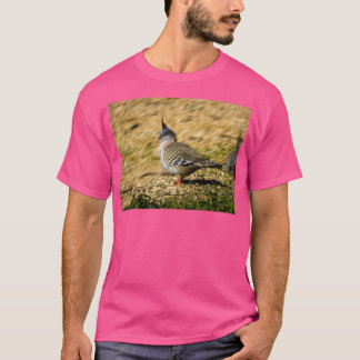 Camiseta Pombo-dorso 9