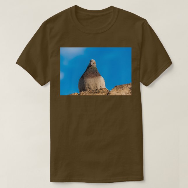 Camiseta Pombo sentado numa parede de pedra (Frente do Design)