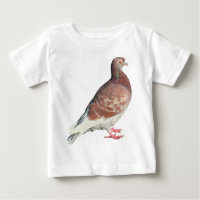 Pombo Vermelho (isolado)